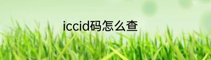iccid码怎么查