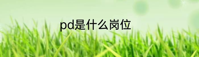 pd是什么岗位