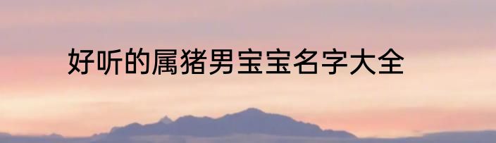 好听的属猪男宝宝名字大全