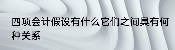 四项会计假设有什么它们之间具有何种关系