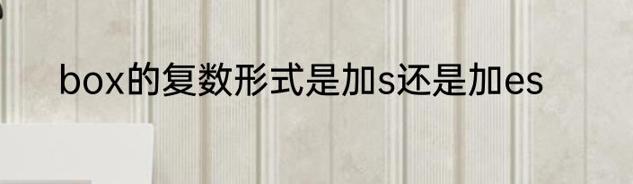 box的复数形式是加s还是加es