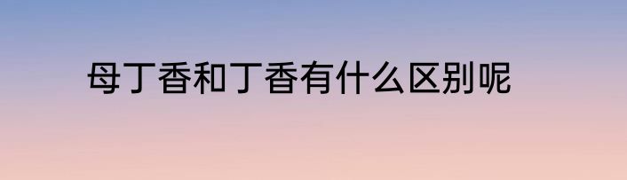 母丁香和丁香有什么区别呢