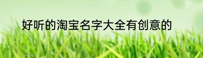 好听的淘宝名字大全有创意的