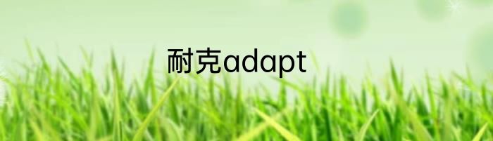 耐克adapt