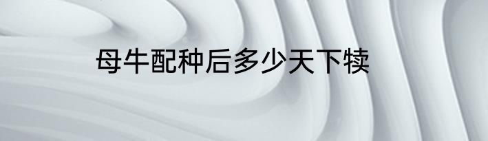 母牛配种后多少天下犊