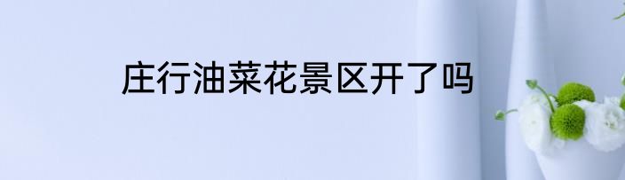 庄行油菜花景区开了吗