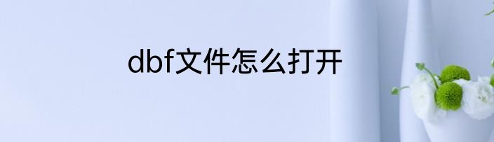 dbf文件怎么打开