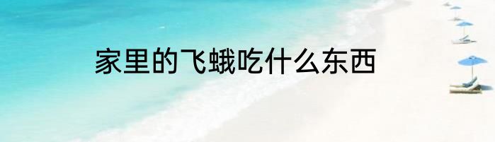 家里的飞蛾吃什么东西