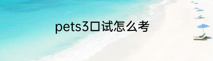 pets3口试怎么考