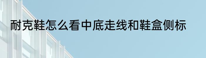 耐克鞋怎么看中底走线和鞋盒侧标