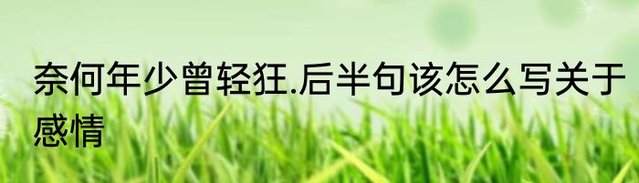 奈何年少曾轻狂.后半句该怎么写关于感情