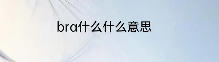 bra什么什么意思