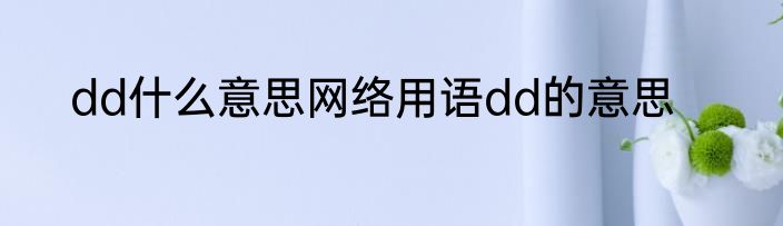 dd什么意思网络用语dd的意思