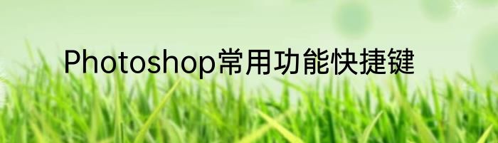 Photoshop常用功能快捷键