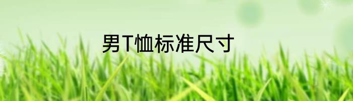 男T恤标准尺寸
