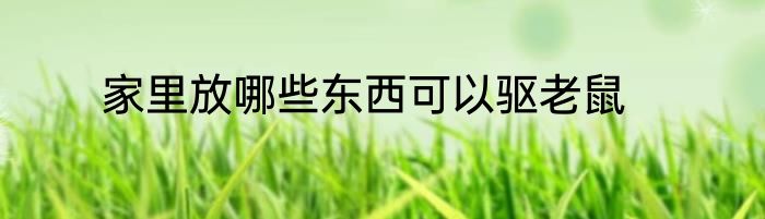 家里放哪些东西可以驱老鼠