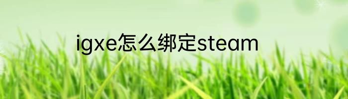 igxe怎么绑定steam