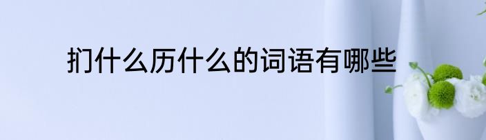 扪什么历什么的词语有哪些