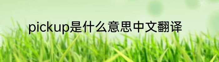 pickup是什么意思中文翻译