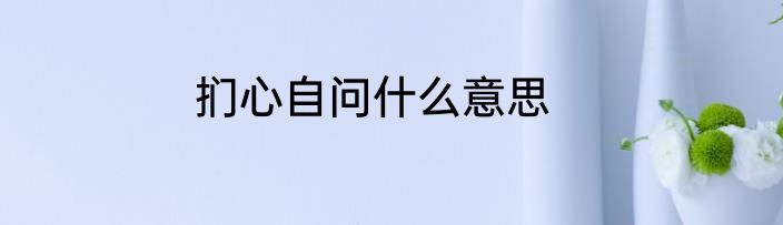 扪心自问什么意思