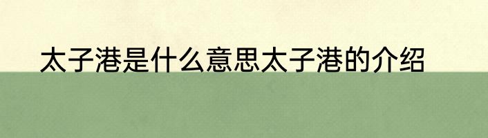 太子港是什么意思太子港的介绍