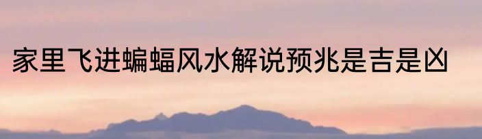 家里飞进蝙蝠风水解说预兆是吉是凶