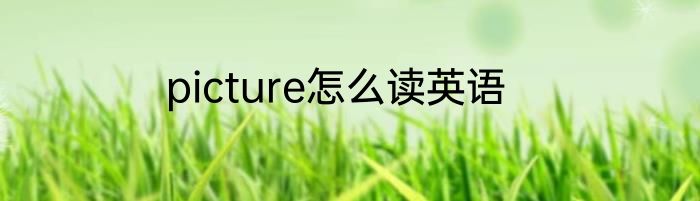 picture怎么读英语