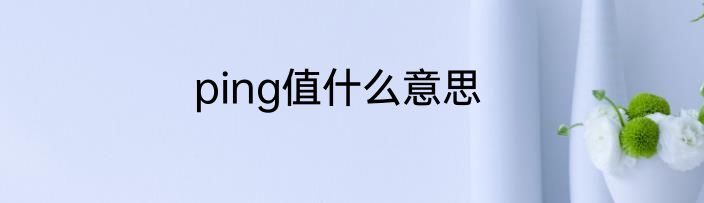 ping值什么意思