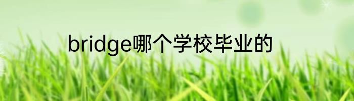bridge哪个学校毕业的