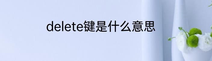 delete键是什么意思