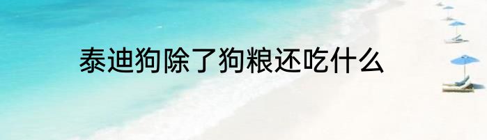 泰迪狗除了狗粮还吃什么