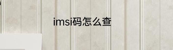 imsi码怎么查