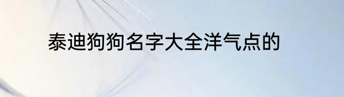 泰迪狗狗名字大全洋气点的