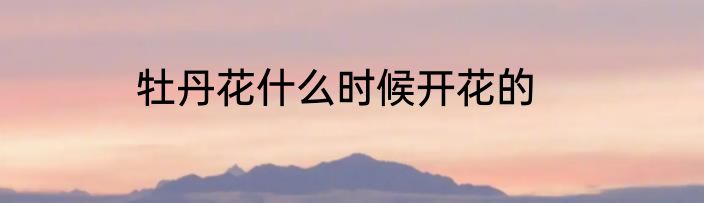 牡丹花什么时候开花的