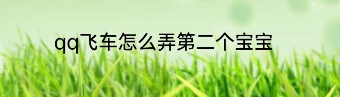 qq飞车怎么弄第二个宝宝