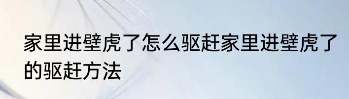 家里进壁虎了怎么驱赶家里进壁虎了的驱赶方法