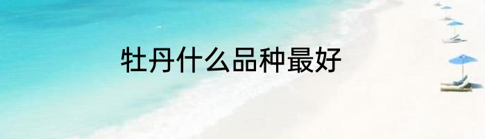 牡丹什么品种最好