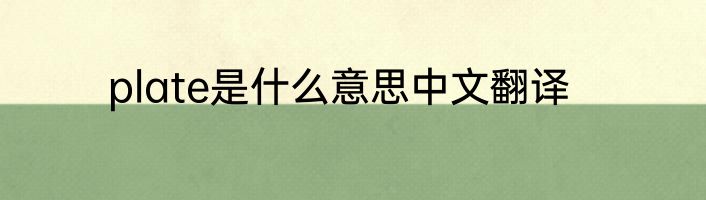 plate是什么意思中文翻译