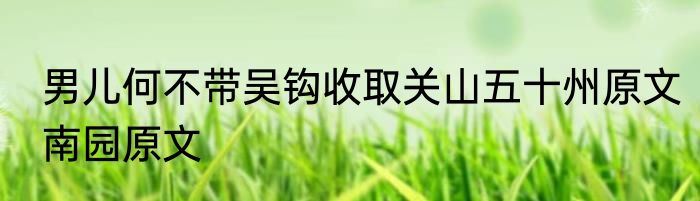 男儿何不带吴钩收取关山五十州原文南园原文