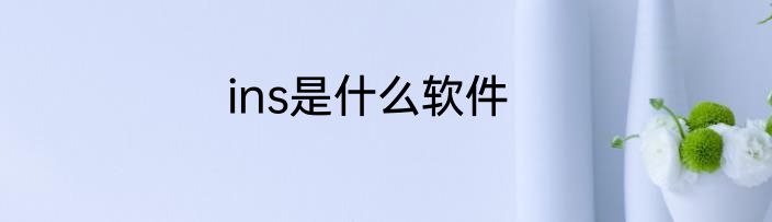 ins是什么软件