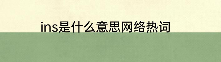 ins是什么意思网络热词