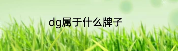 dg属于什么牌子