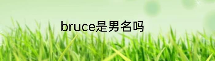 bruce是男名吗