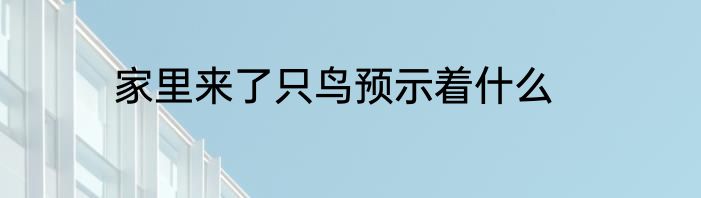 家里来了只鸟预示着什么