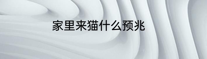 家里来猫什么预兆