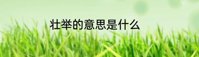 壮举的意思是什么