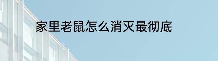 家里老鼠怎么消灭最彻底