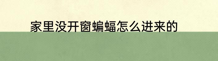 家里没开窗蝙蝠怎么进来的