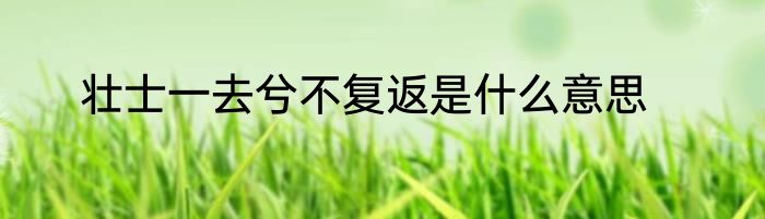 壮士一去兮不复返是什么意思