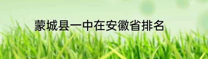 蒙城县一中在安徽省排名